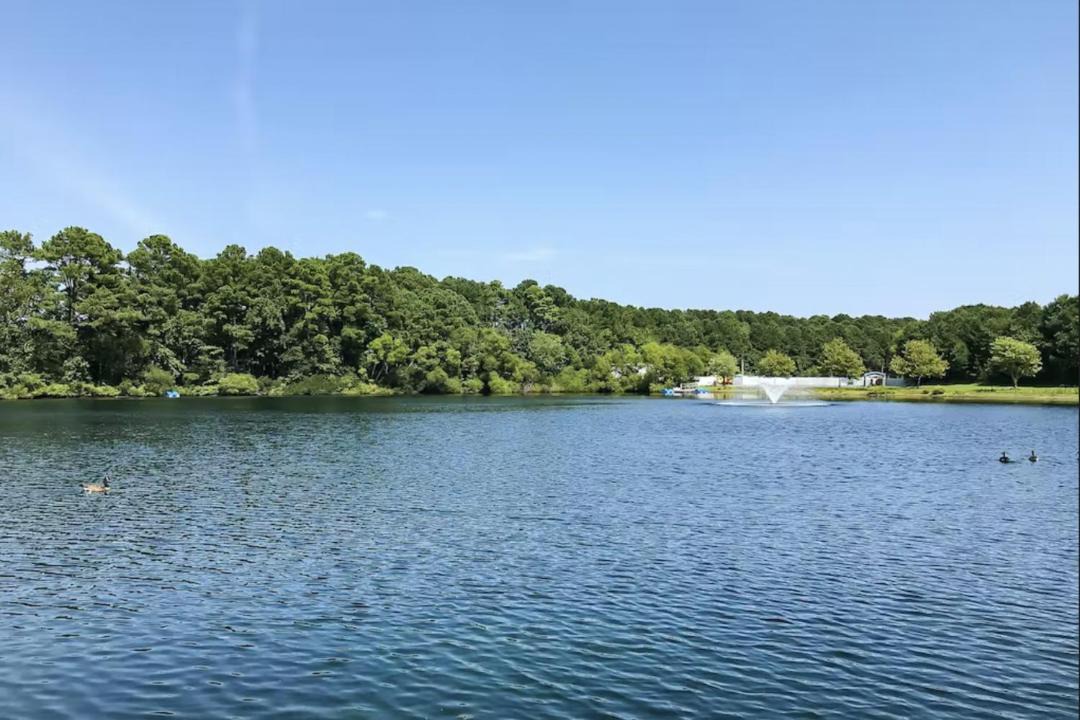 Photo of Outdoor in Assateague Pointe