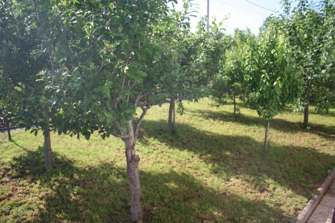 Photo of Others in Municipality of Gracac