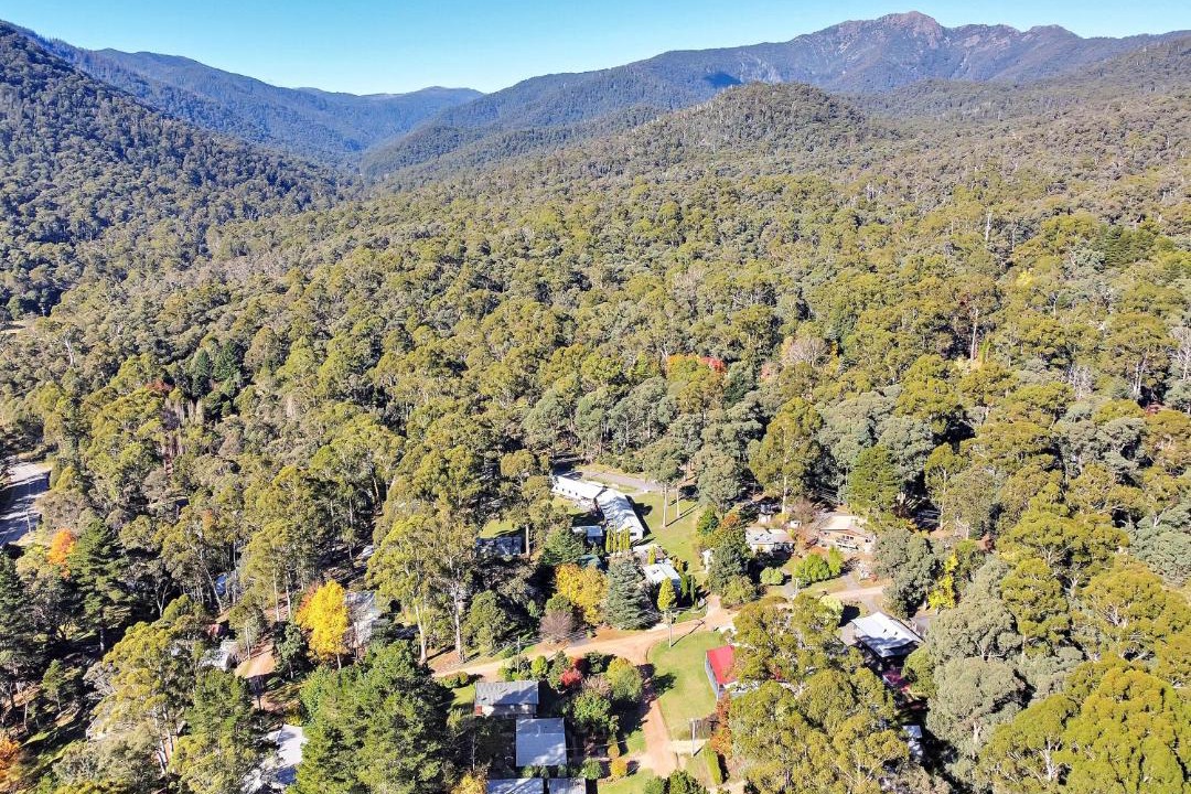 Photo of Outdoor in Sawmill Settlement