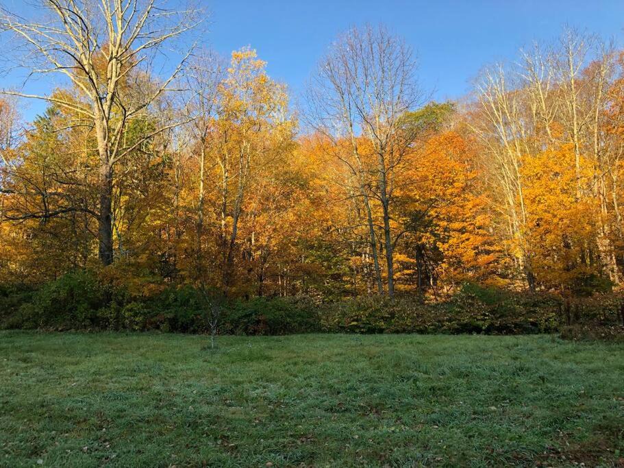 Photo of Outdoor in Shandaken