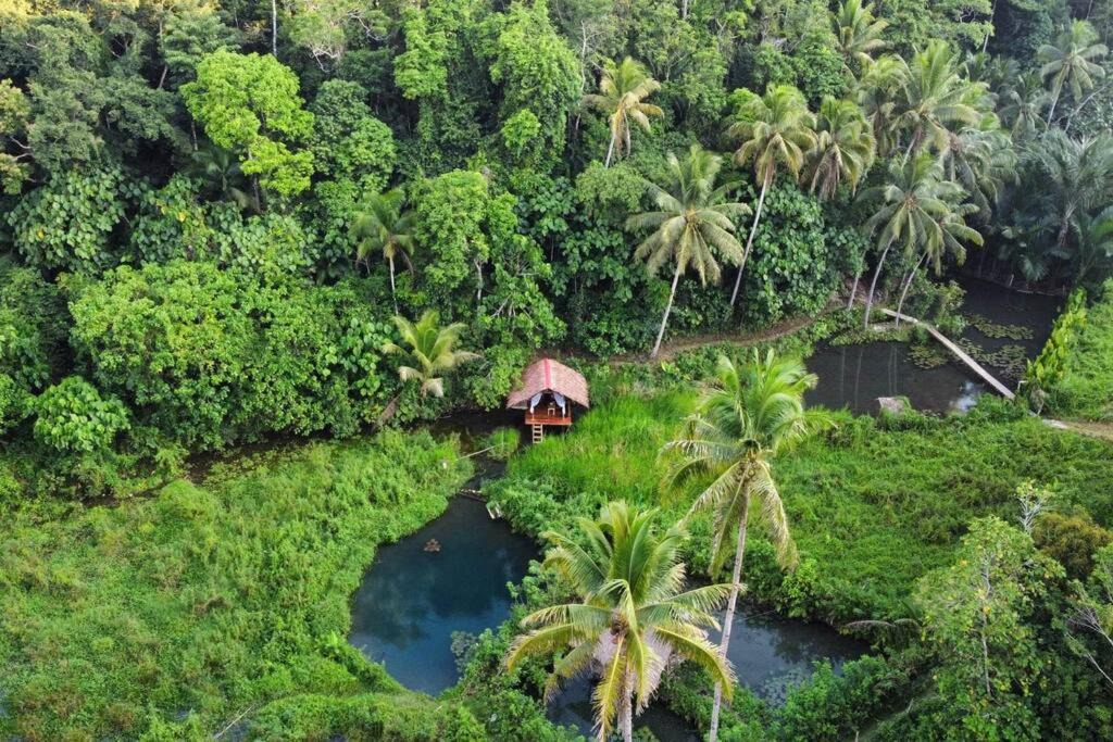 Photo of Others in Siquijor