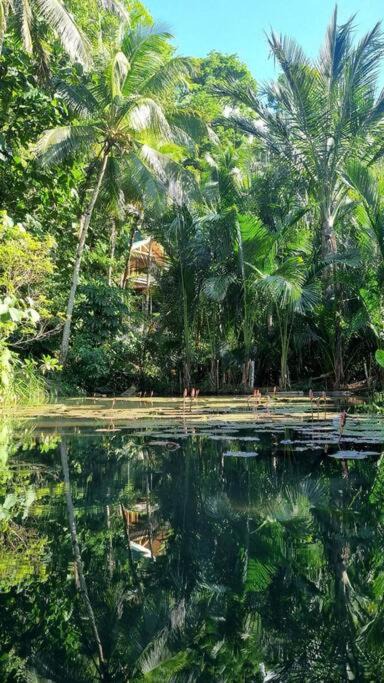 Photo of Outdoor in Siquijor