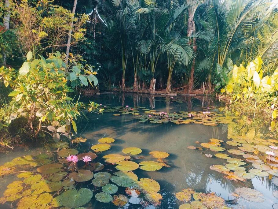 Photo of Outdoor in Siquijor