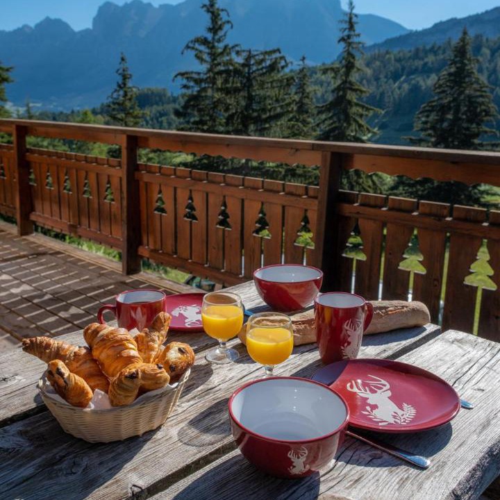 Photo of Patio Balcony in Le Devoluy