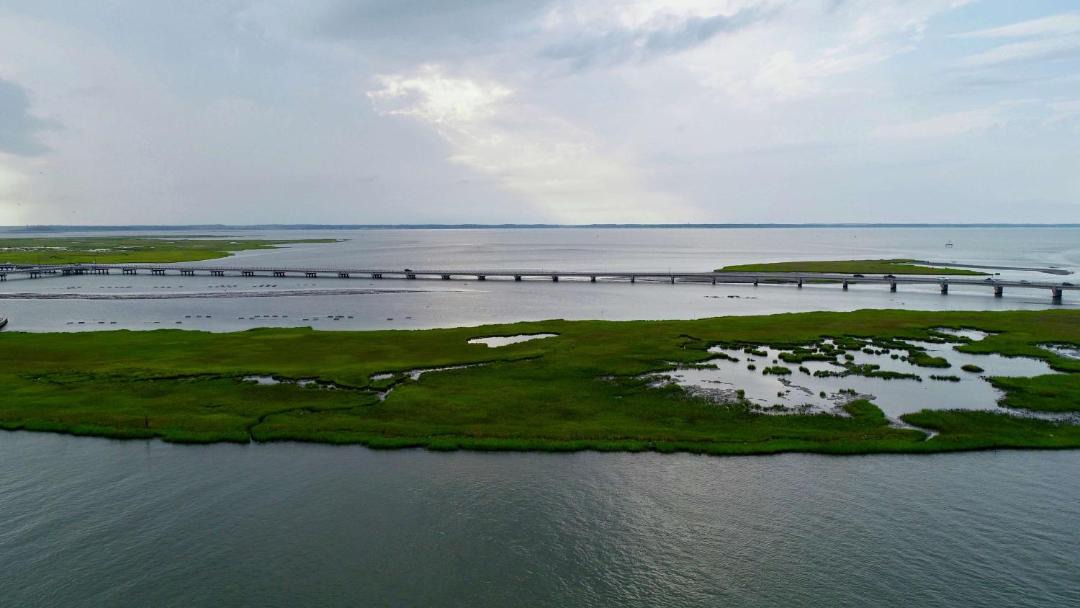 Photo of Others in Chincoteague