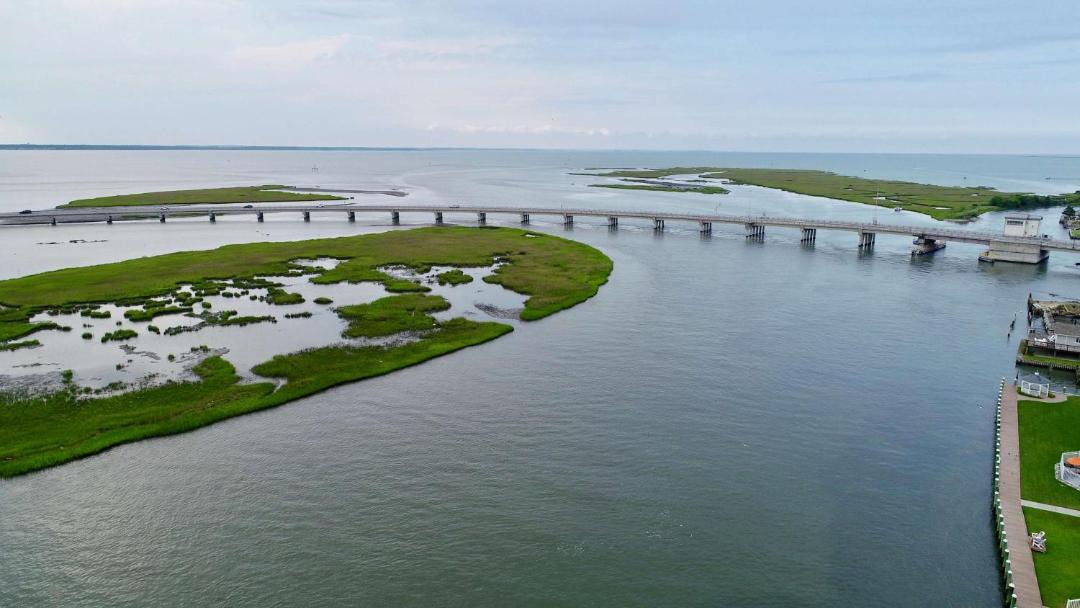 Photo of Others in Chincoteague