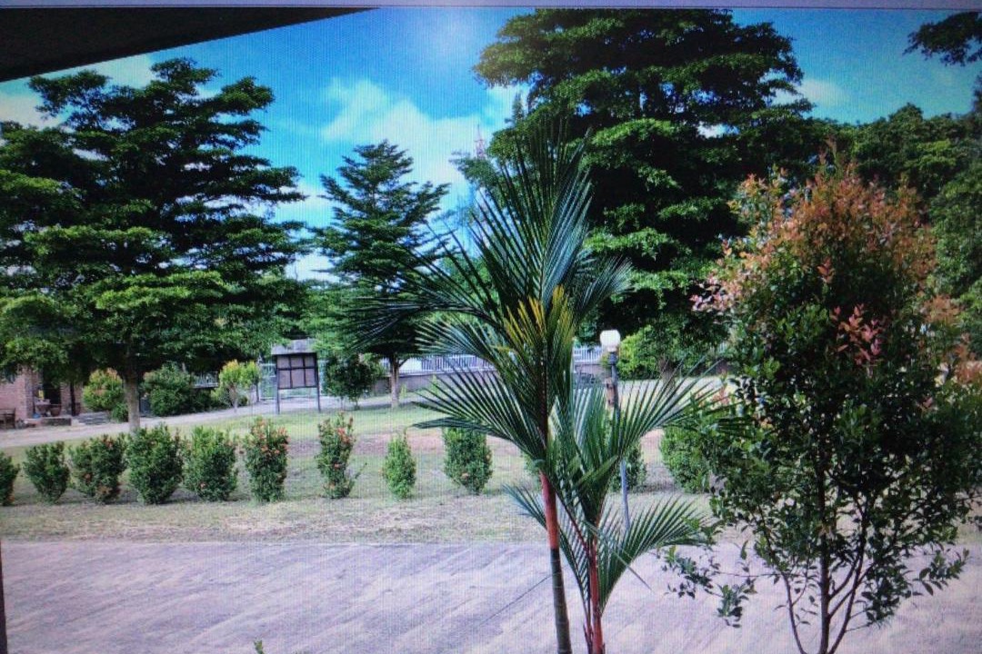 Photo of Others in Chiang Rai