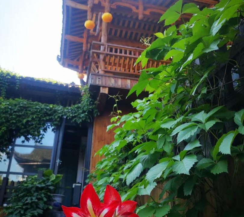 Photo of Others in Xiangxi
