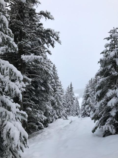 Photo of Others in Chamrousse