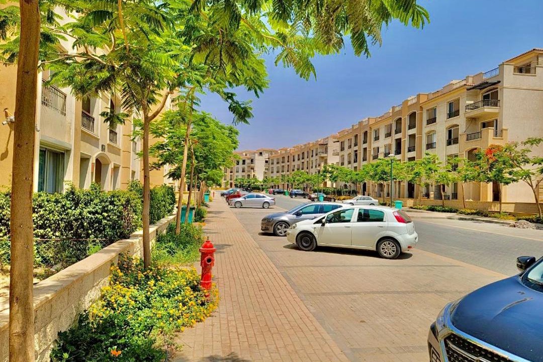 Photo of Others in Cairo