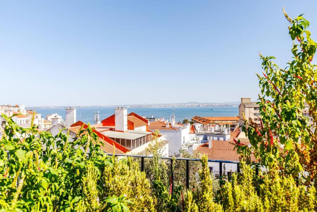 Photo of Outdoor in Santa Engracia