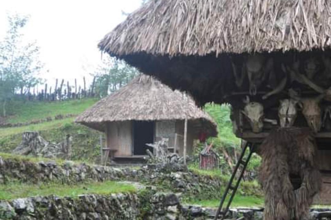 Photo of Others in Banaue