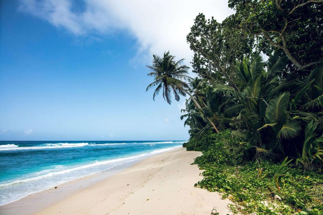 Photo of Outdoor in Silhouette Island