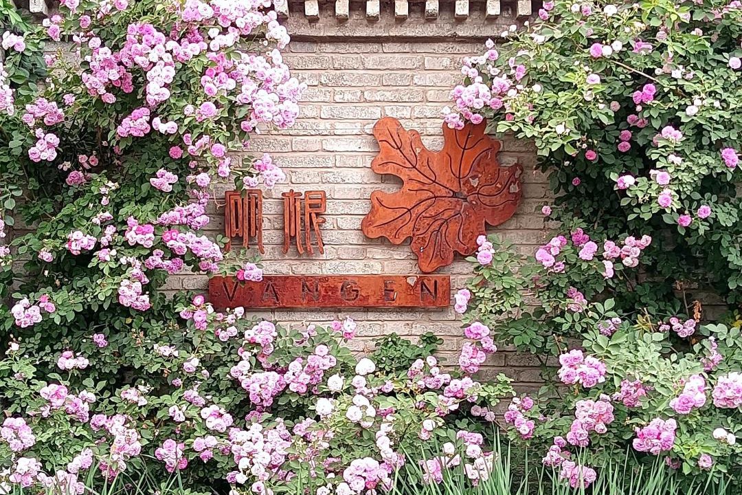 Photo of Others in Miyun District