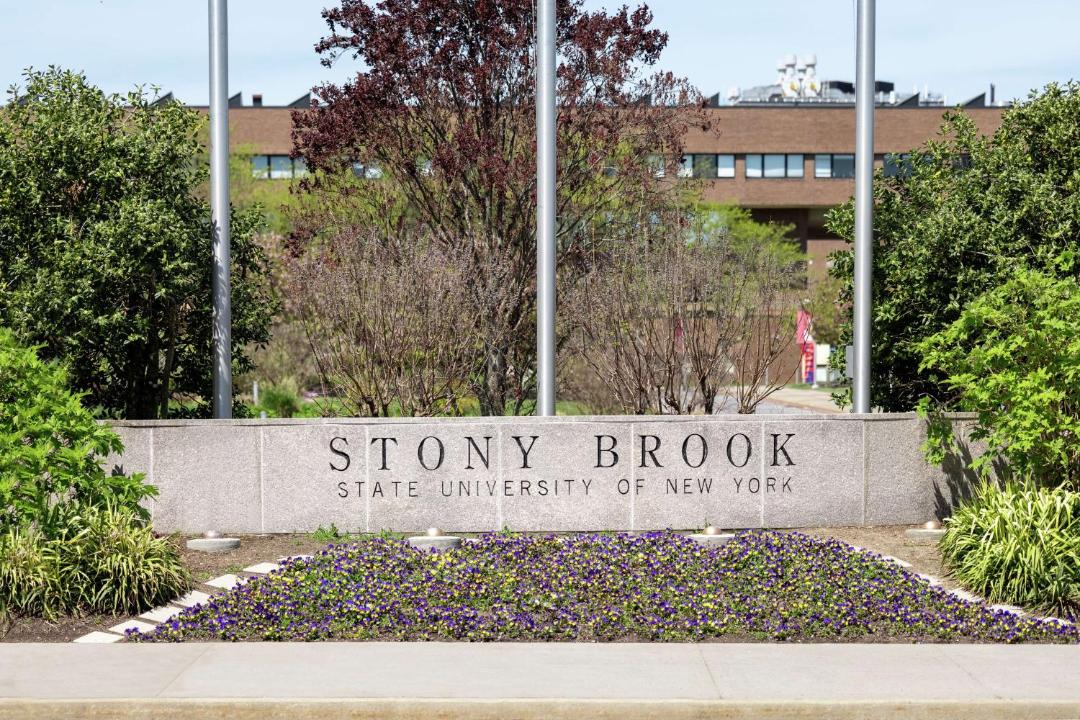 Photo of Others in Stony Brook