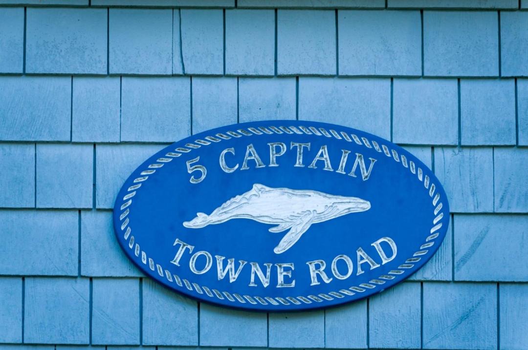Photo of Others in East Sandwich
