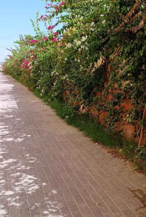 Photo of Outdoor in Ad-Dab'ah