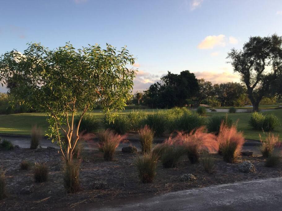 Photo of Others in Biscayne Park