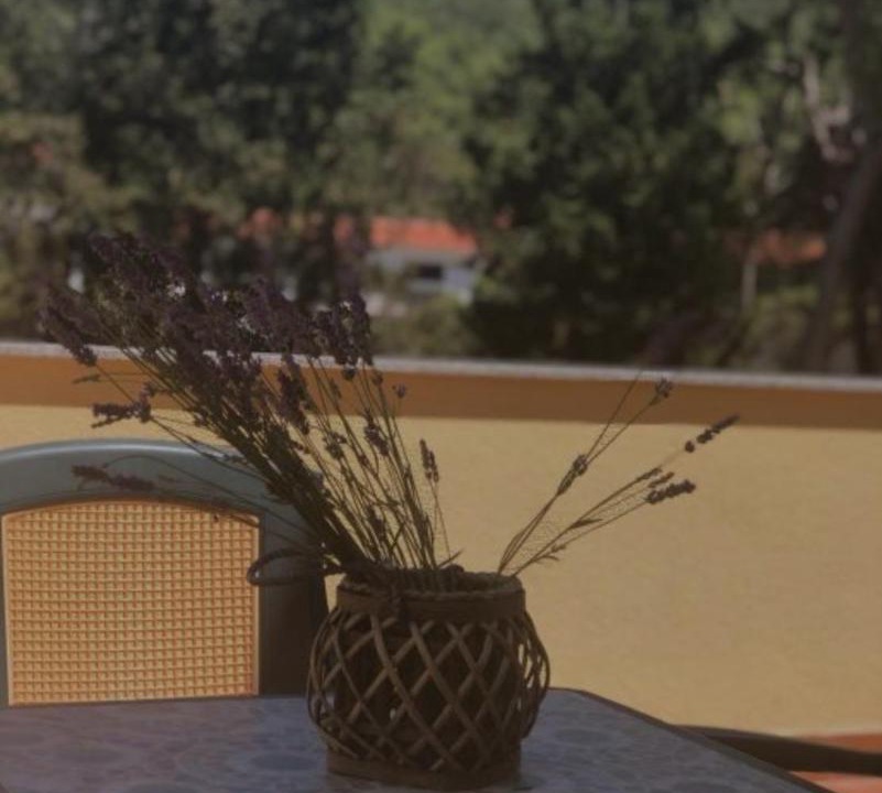 Photo of Patio Balcony in Necujam