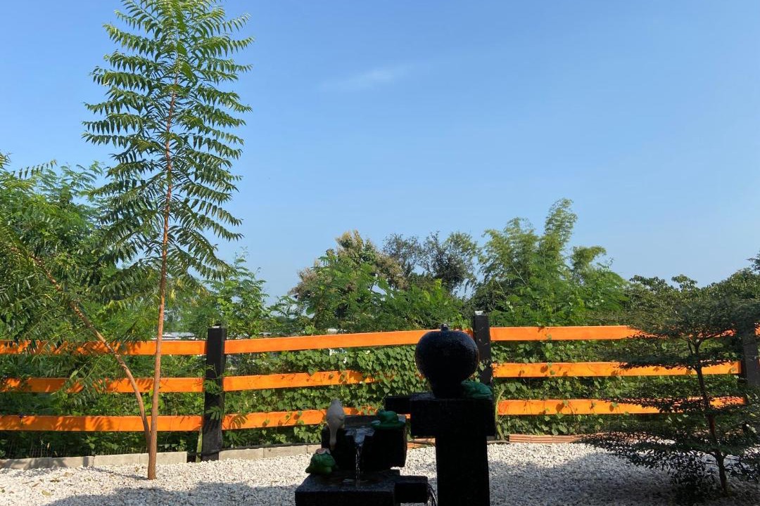 Photo of Outdoor in Lampang