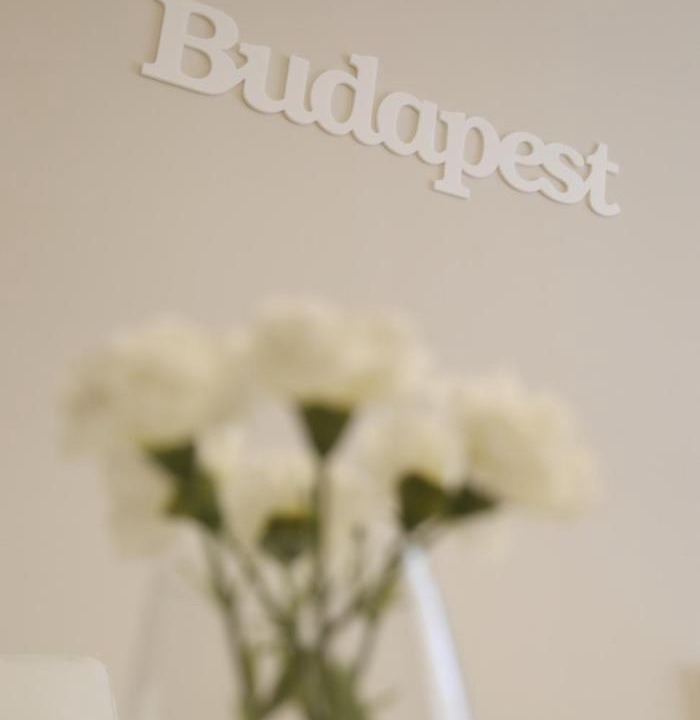 Photo of Others in Inner City Budapest