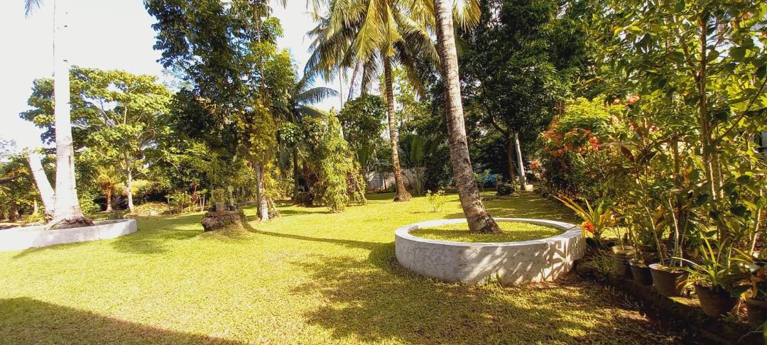 Photo of Outdoor in Mambajao