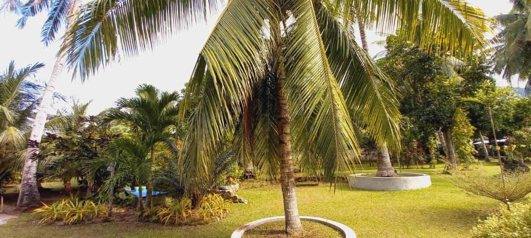 Photo of Outdoor in Mambajao