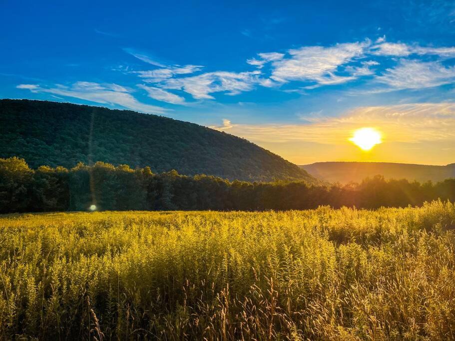 Photo of Outdoor in Bovina Center