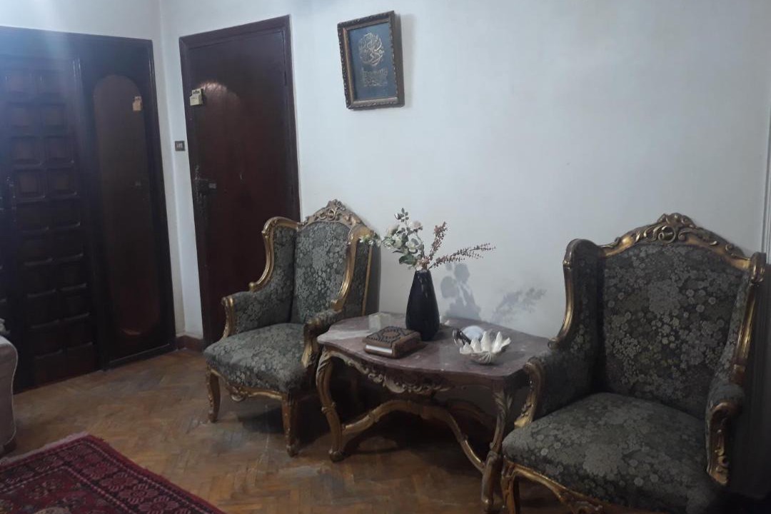 Photo of Livingroom in Tanta