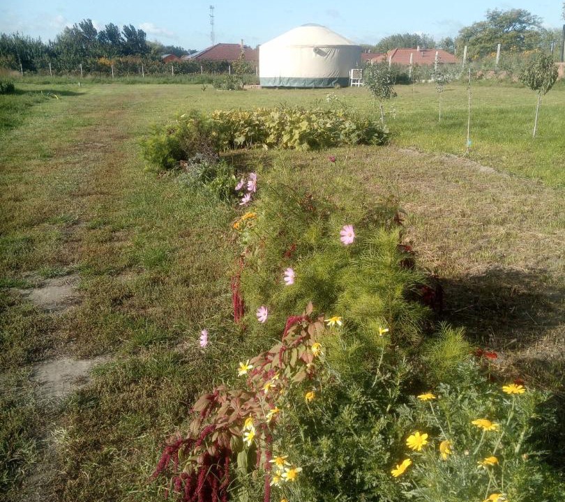 Photo of Outdoor in Rackeve