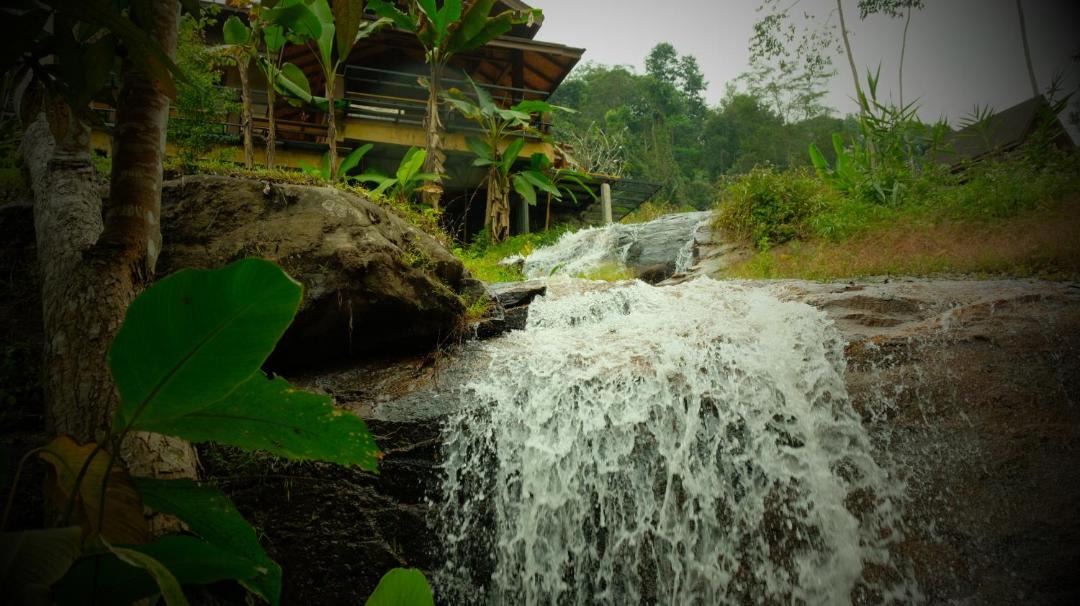 Photo of Others in Mae Rim
