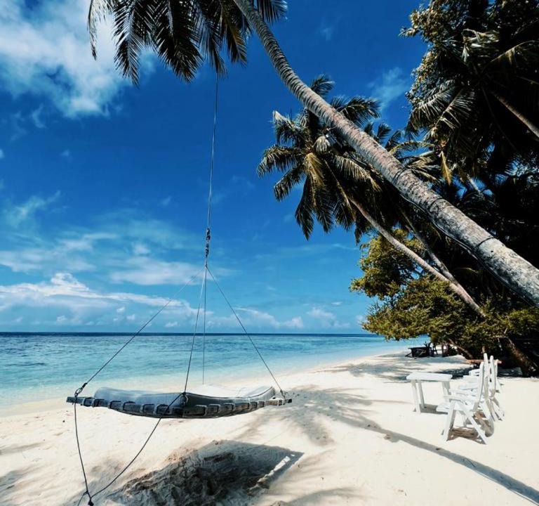 Photo of Outdoor in Male