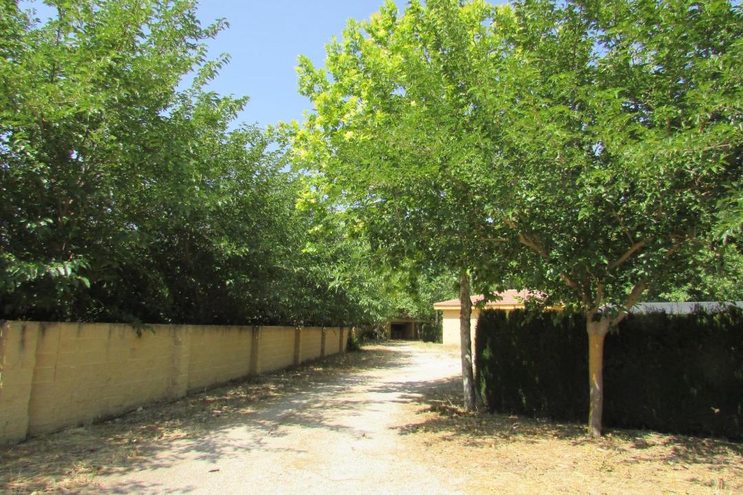 Photo of Outdoor in Mira