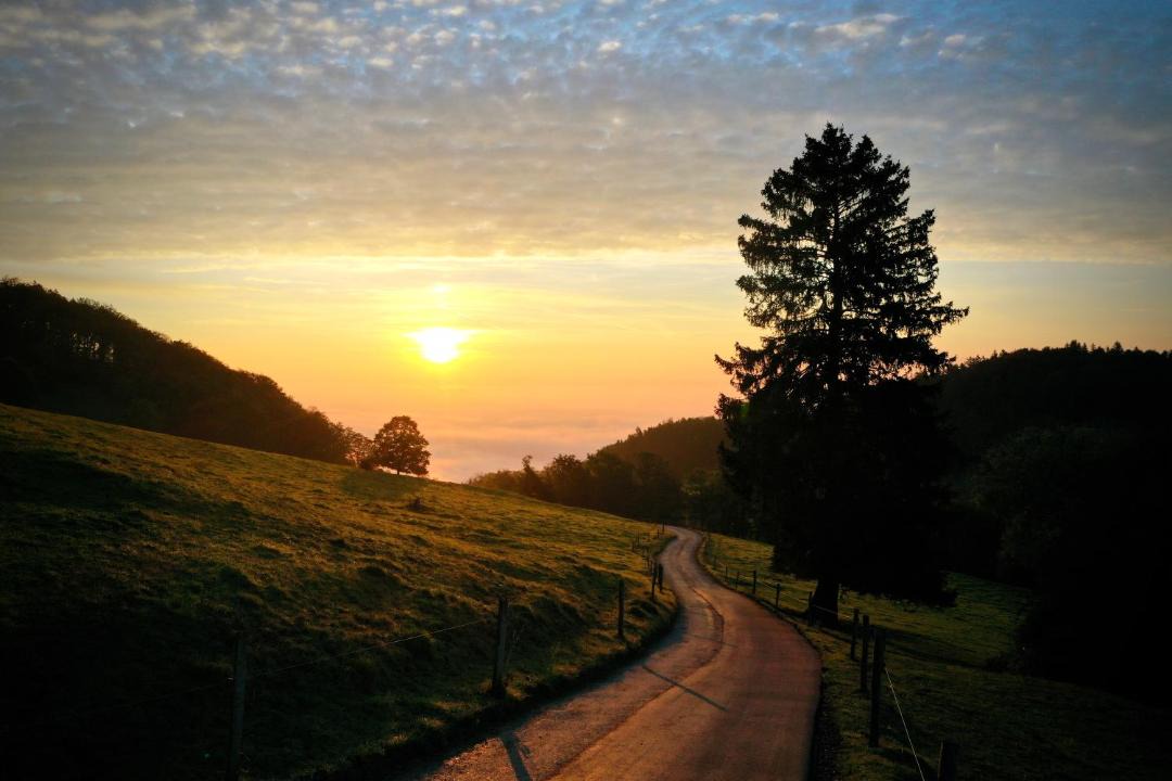 Photo of Outdoor in Oberbuchsiten
