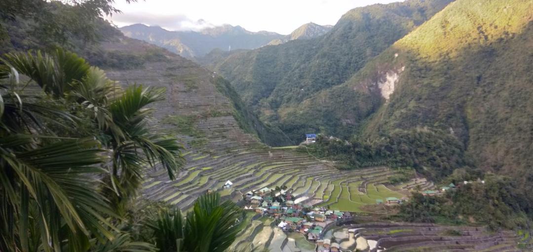 Photo of Others in Batad