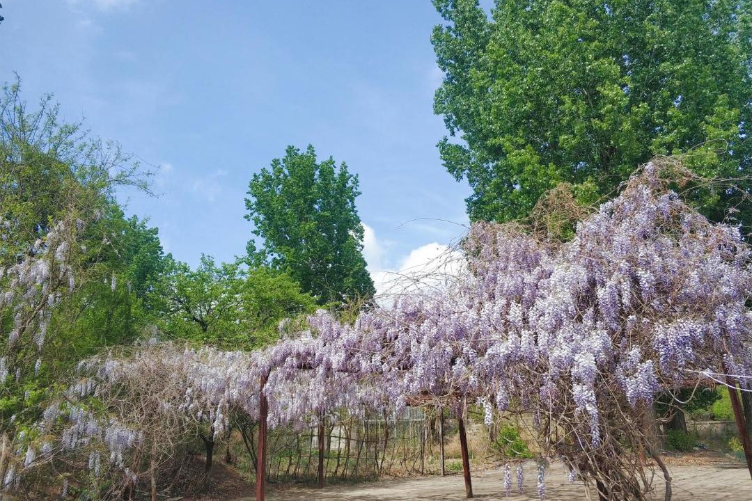 Photo of Outdoor in Huairou