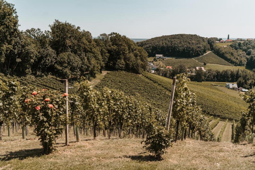 Photo of Others in Seggauberg