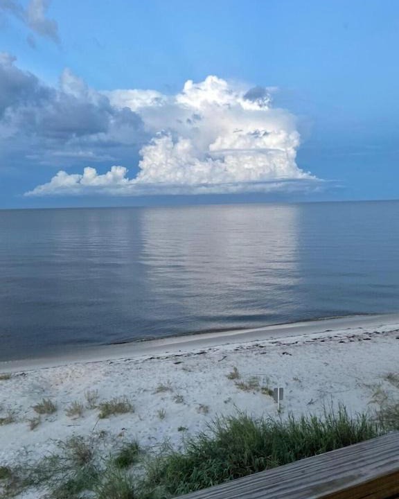 Photo of Others in Alligator Point