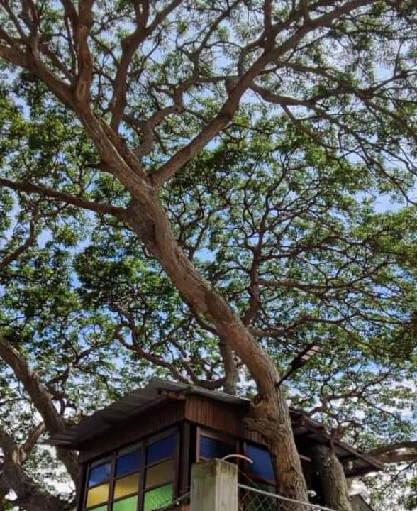 Photo of Buildings in Mabini