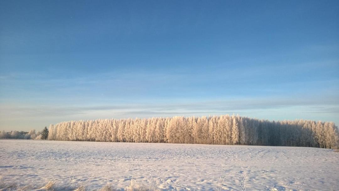 Photo of Others in Huittinen
