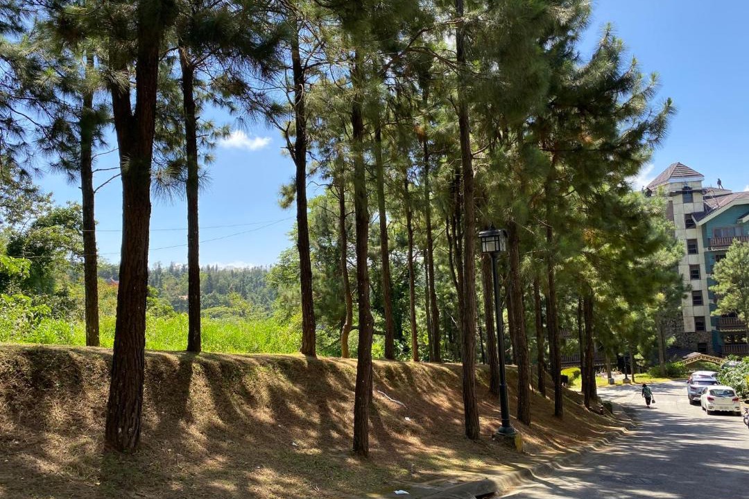 Photo of Outdoor in Canlubang