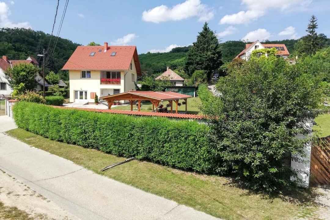 Photo of Others in Szekszard