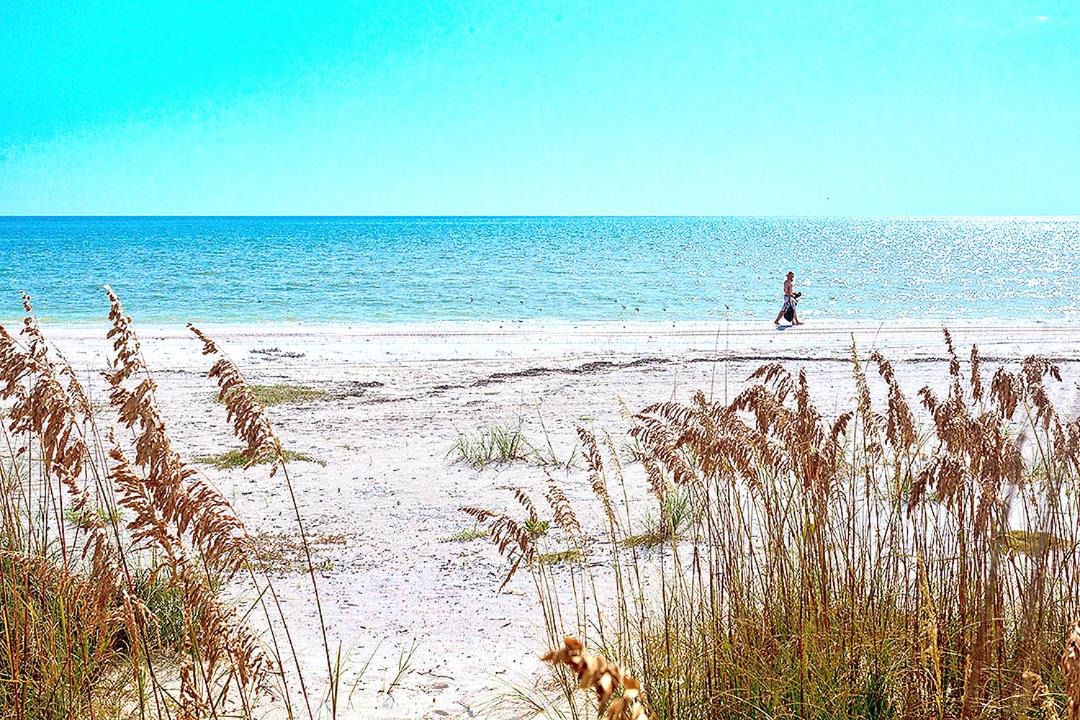 Photo of Others in Fort Myers Beach