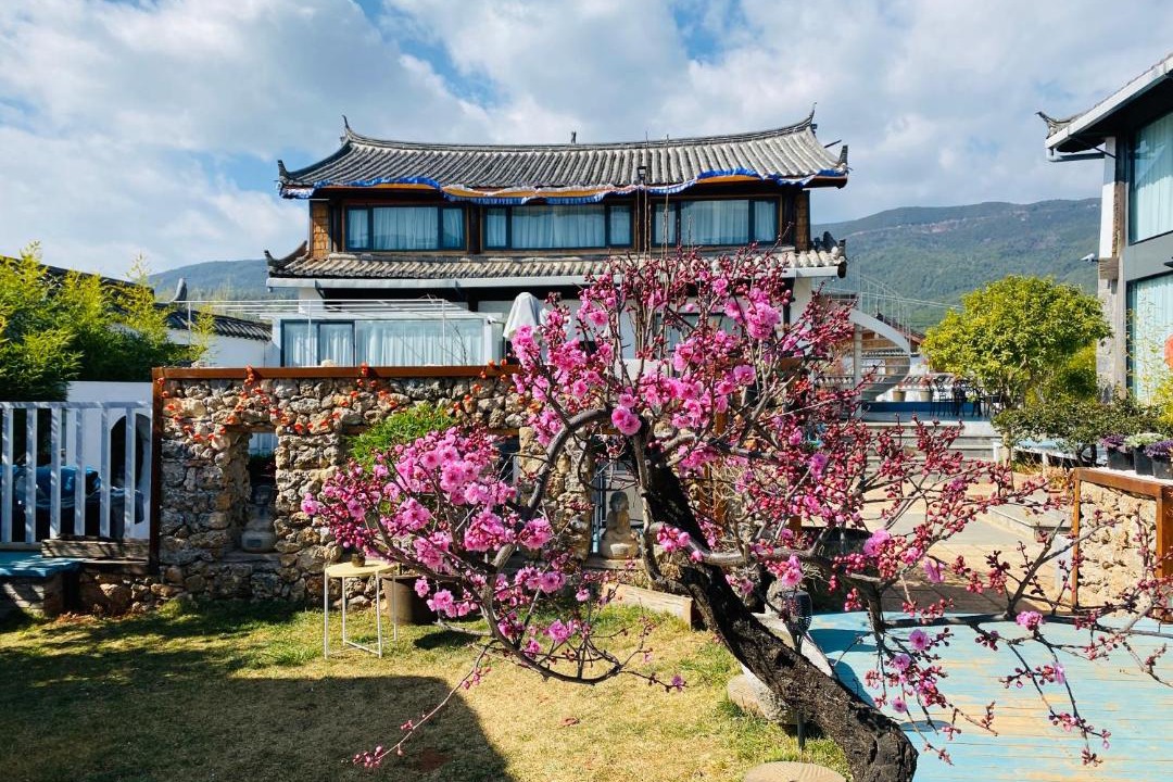 Photo of Others in Lijiang