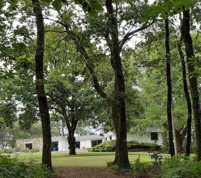 Photo of Outdoor in Theix-Noyalo