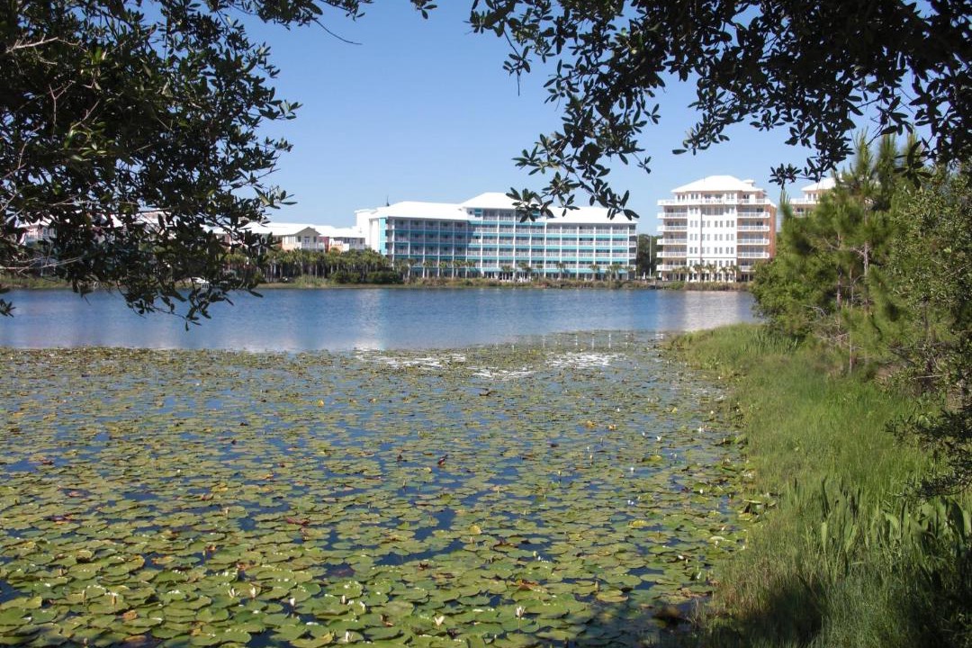 Photo of Buildings in Sunnyside