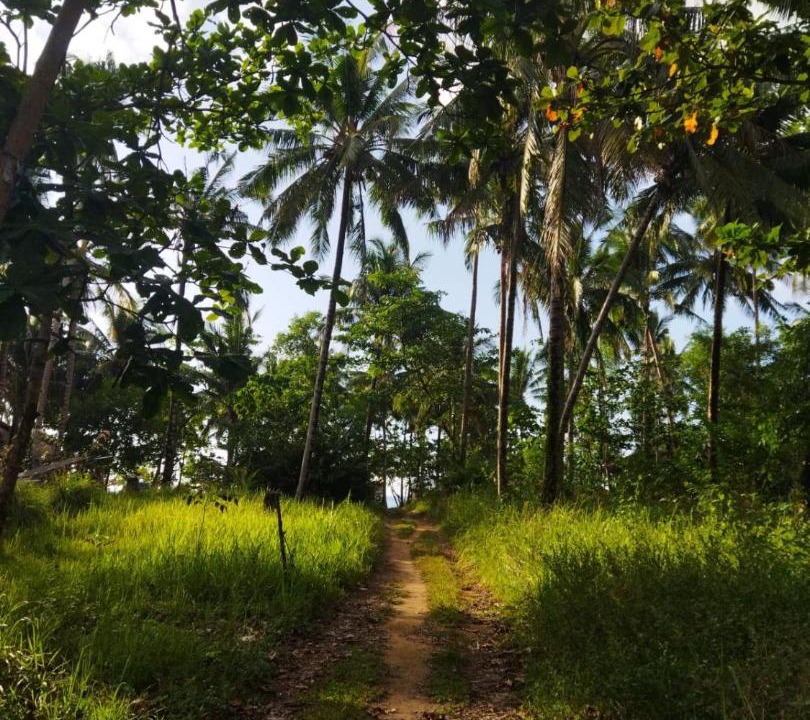 Photo of Others in Puerto Princesa