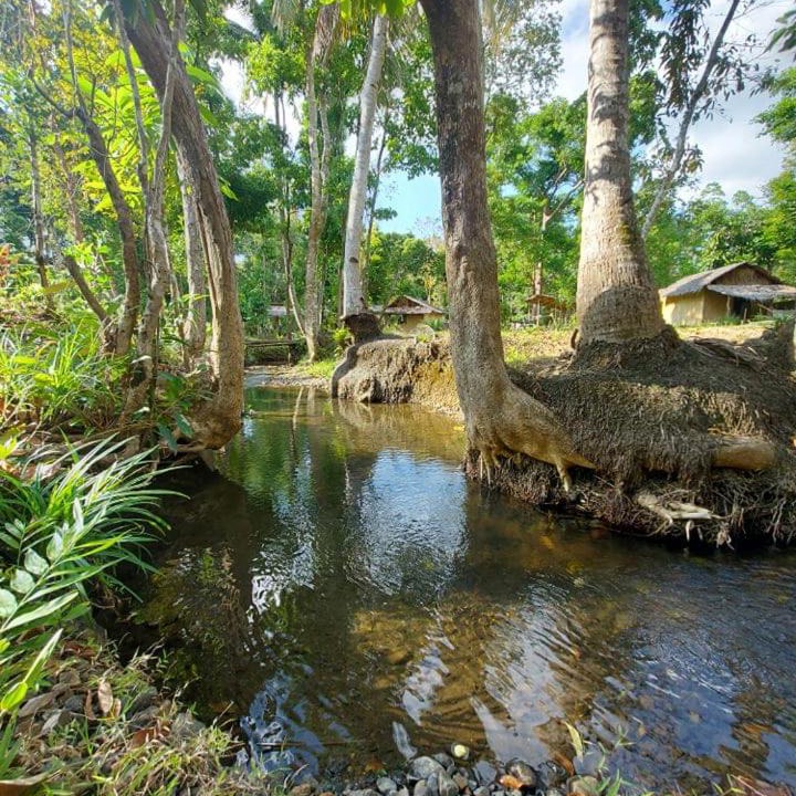 Photo of Others in Puerto Princesa