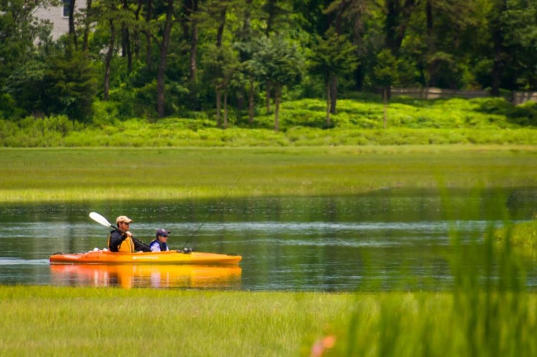 Photo of Others in East Sandwich