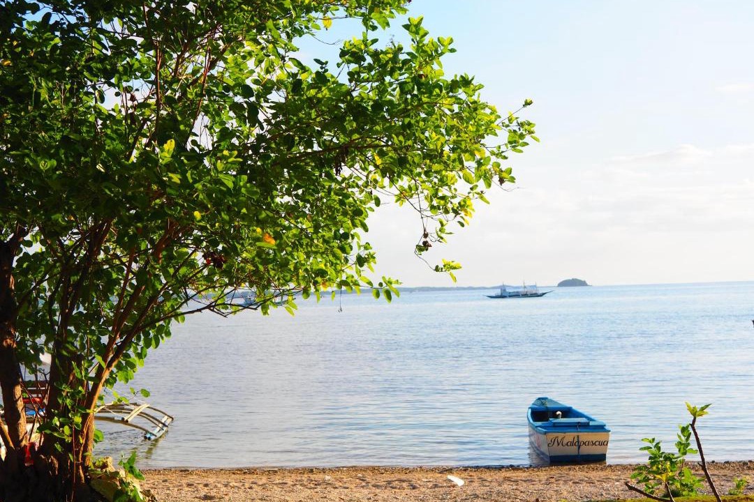 Photo of Others in Daanbantayan